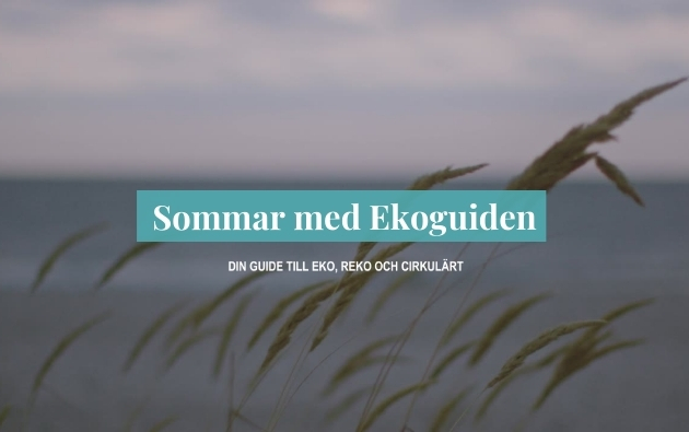 Sommar med Ekoguiden 2021