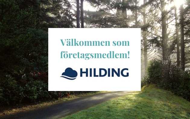 Hilding Anders