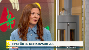 Fira en mer hållbar jul - Medveten konsumtion i TV4 Nyhetsmorgon