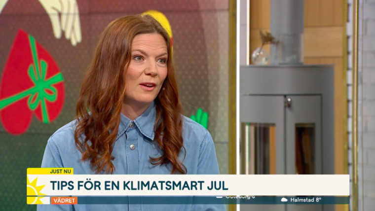 Fira en mer hållbar jul - Medveten konsumtion i TV4 Nyhetsmorgon